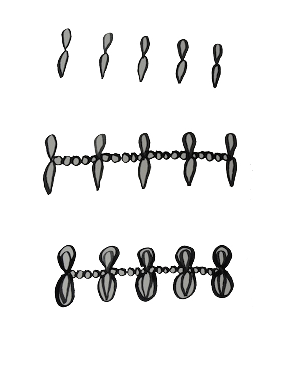 Simple shapes